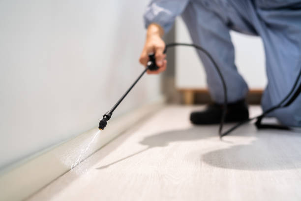 Licensed Rodent Control service in Milford, DE - Nex Pest Control