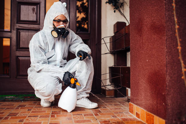 Reliable Rodent Control contractor in Milford, DE by Nex Pest Control