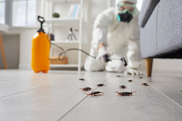 Trusted Cockroach Control service in Milford, DE - Nex Pest Control